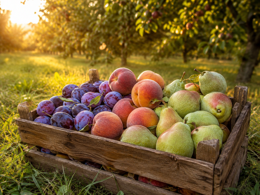 Frutteto in giardino: raccogliere da maggio a novembre